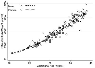 Assessment of Fetal Kidney Growth and Birth Weight in an Indigenous Australian Cohort